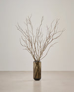 ［BIGボタニカル｜ドライ］タイガーウッド 80-120cm