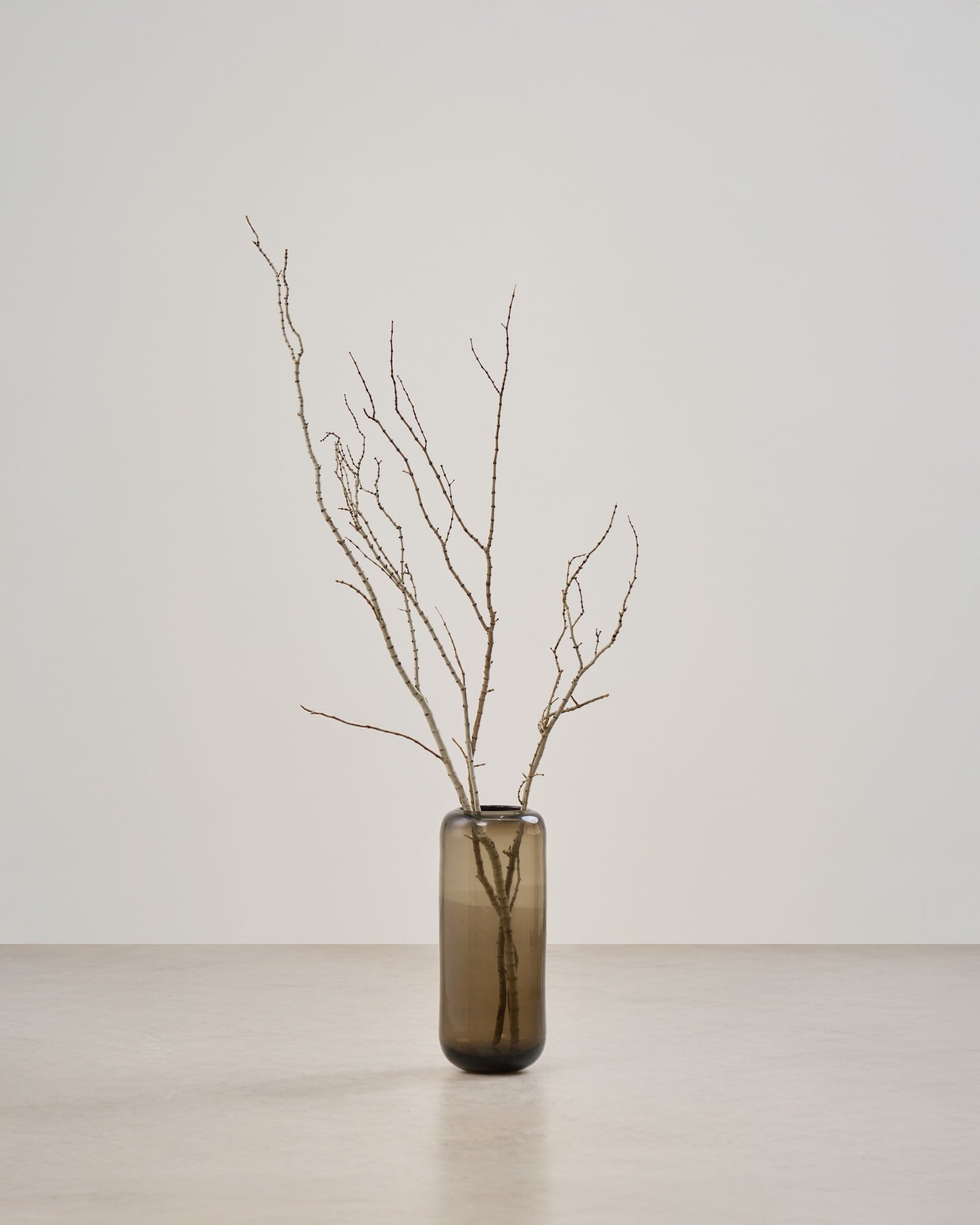 BIGボタニカル｜ドライ］タイガーウッド 80-100cm 商品ページ - 土と風