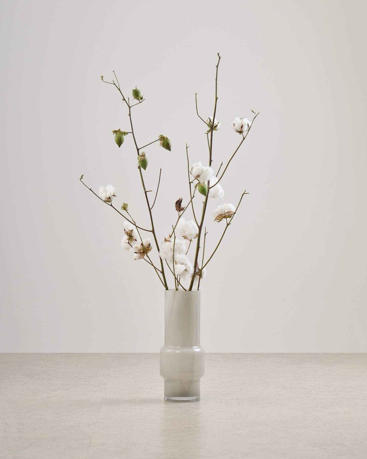 フラワー BIGボタニカル｜ドライ］コットンフラワー 110cm 商品ページ