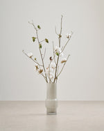 ［BIGボタニカル｜ドライ］コットンフラワー