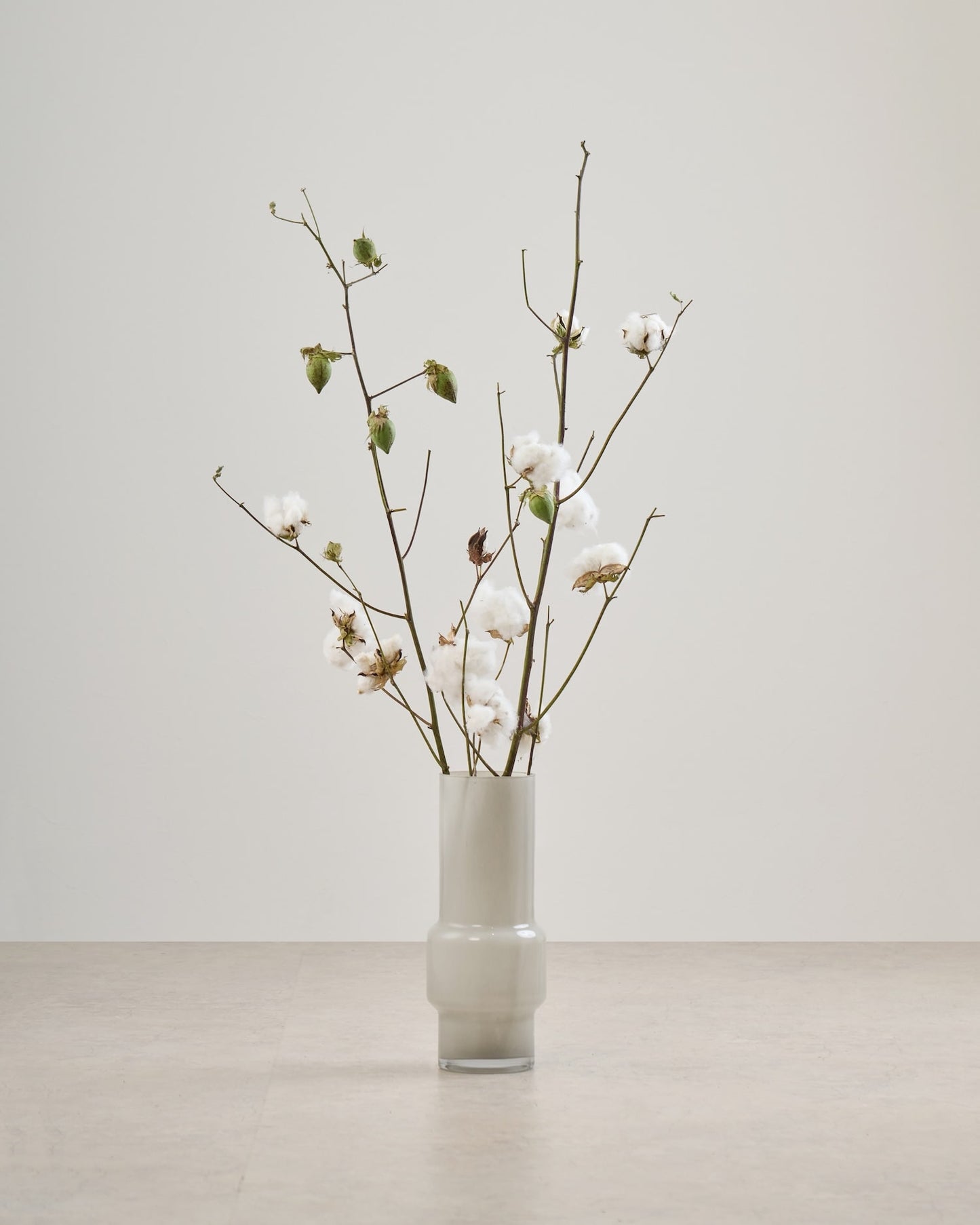 ［BIGボタニカル｜ドライ］コットンフラワー