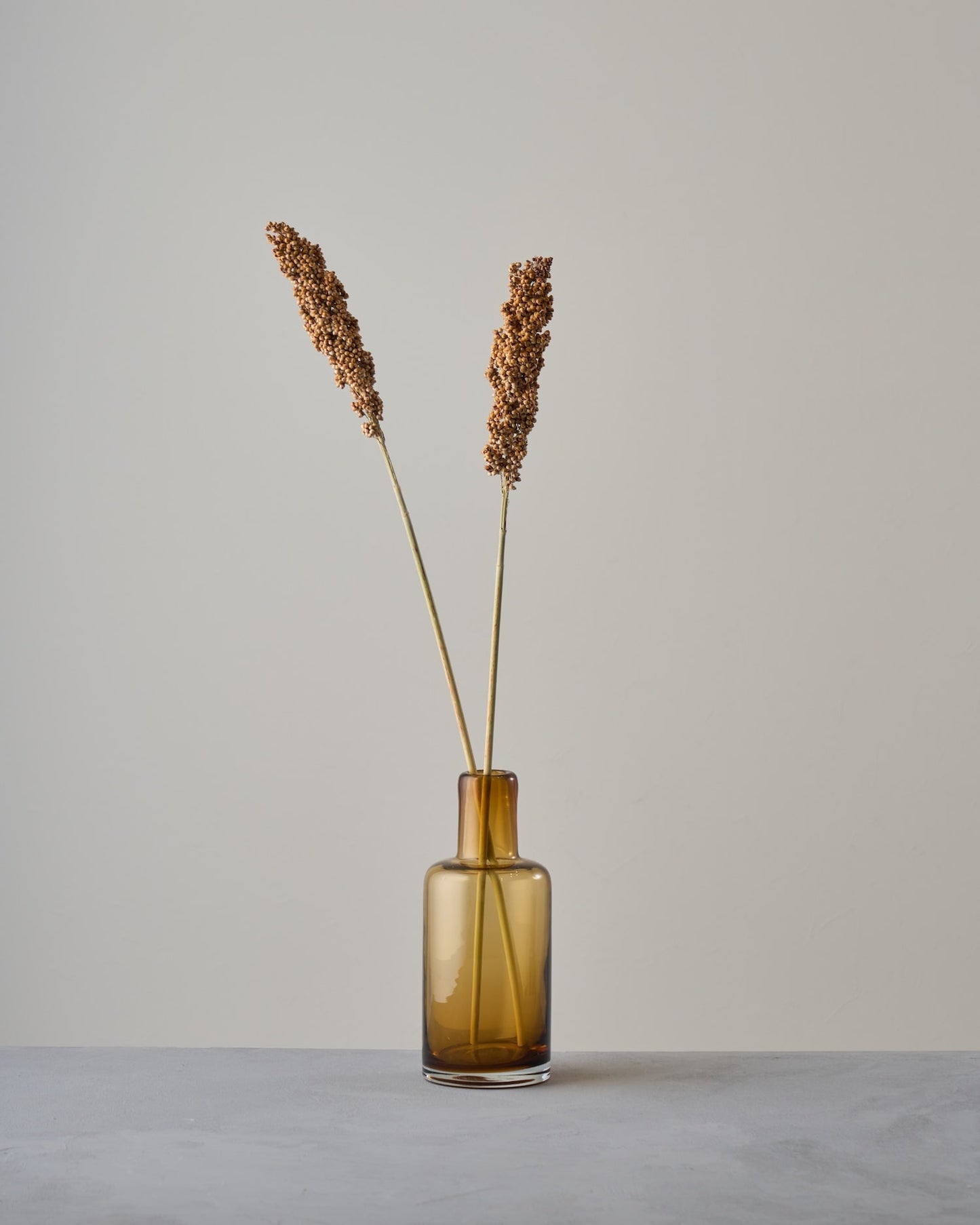 ［ドライフラワー］キビ ソルガム