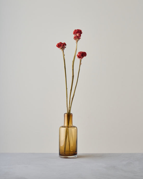 ［ドライフラワー］ケイトウ