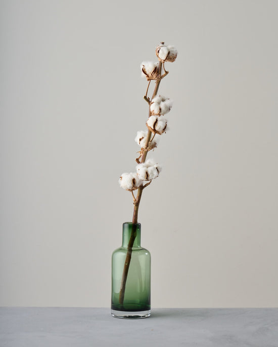 ［ドライフラワー］コットンフラワー