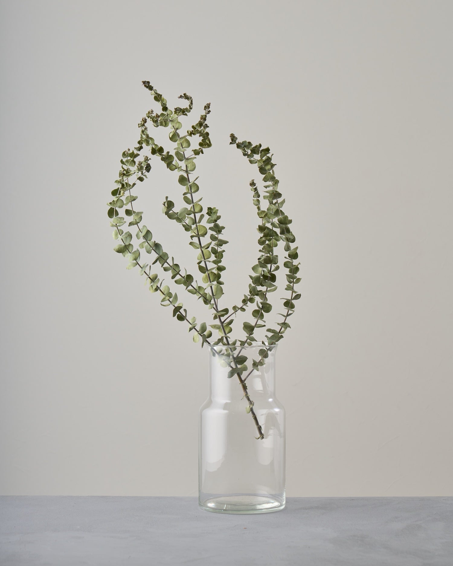 専用＊アジサイ＆ユーカリポポラス 白グレー ドライフラワーリース