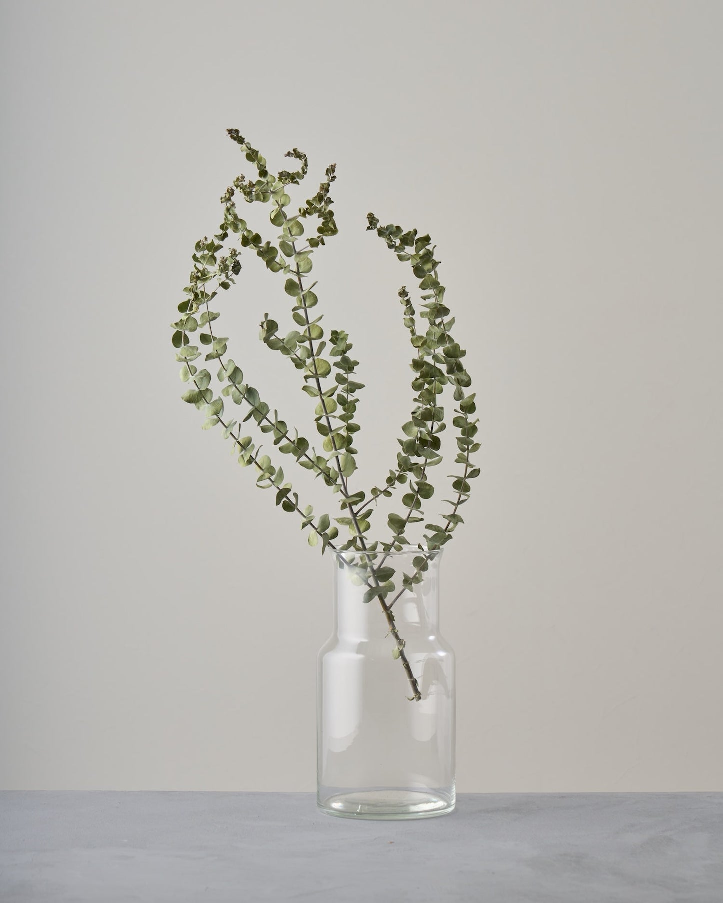 ［ドライフラワー］ユーカリ ベイビーブルー