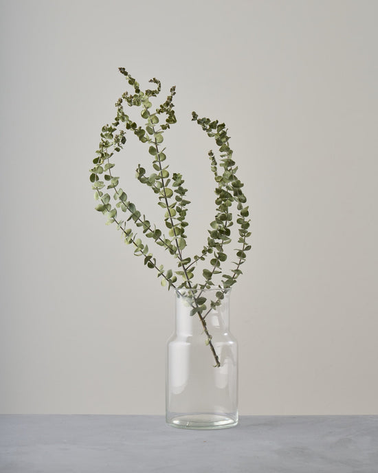 ［ドライフラワー］ユーカリ ベイビーブルー