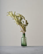 ［フラワーベース］カラーガラスベース ロングネック