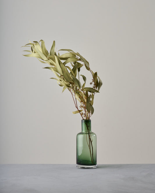 ［ドライフラワー］ユーカリ グレッグソニアーナ