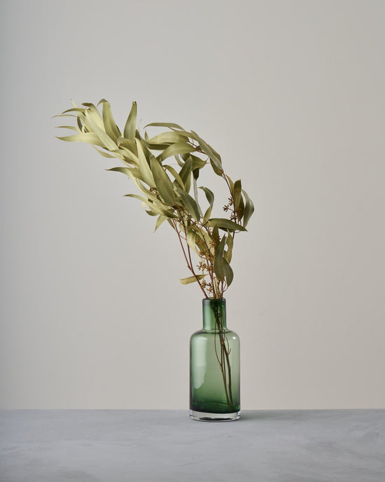 ［ドライフラワー］ユーカリ グレッグソニアーナ