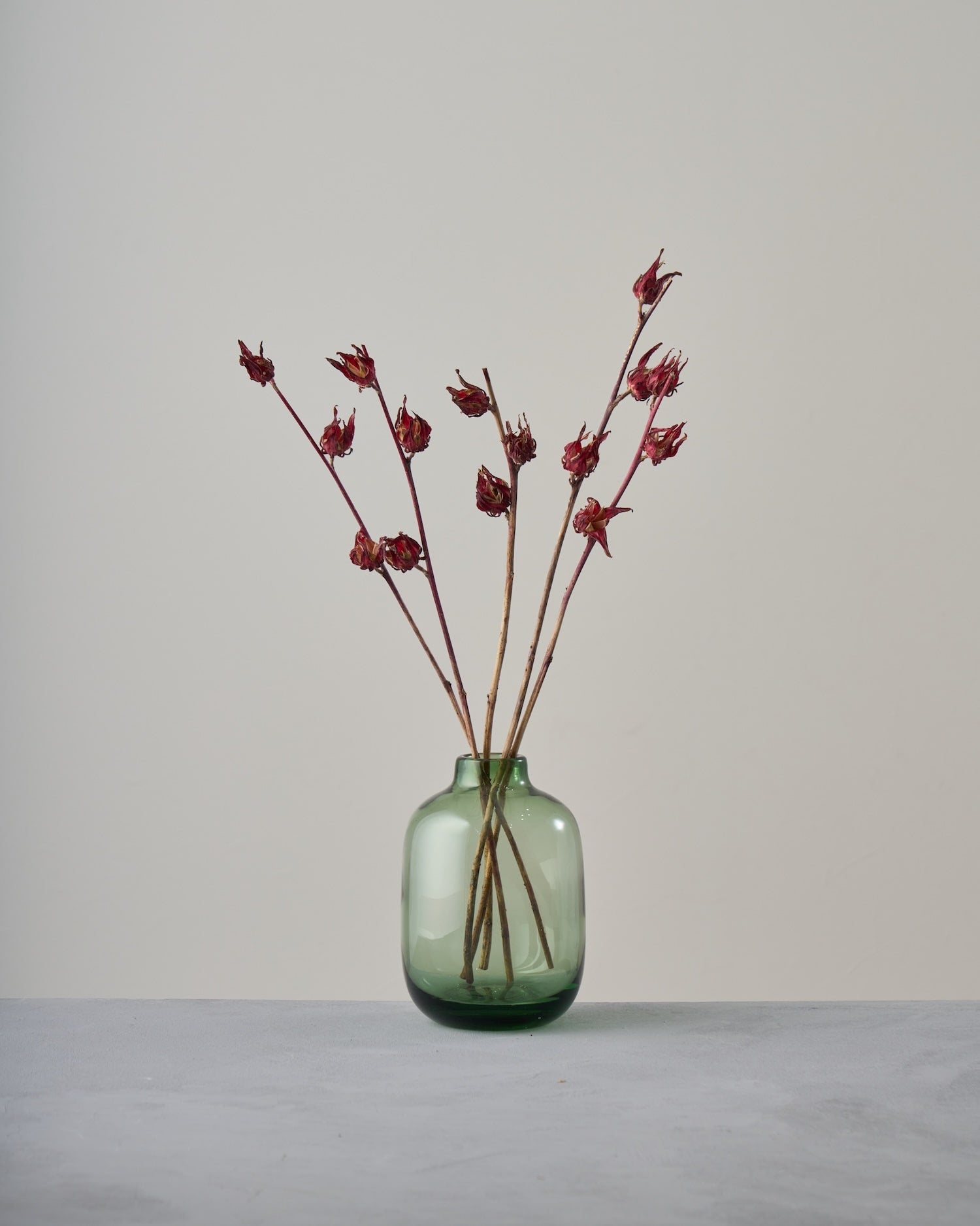 実もののドライボタニカル│土と風の植物園