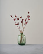 ［ドライフラワー］ベニアオイ