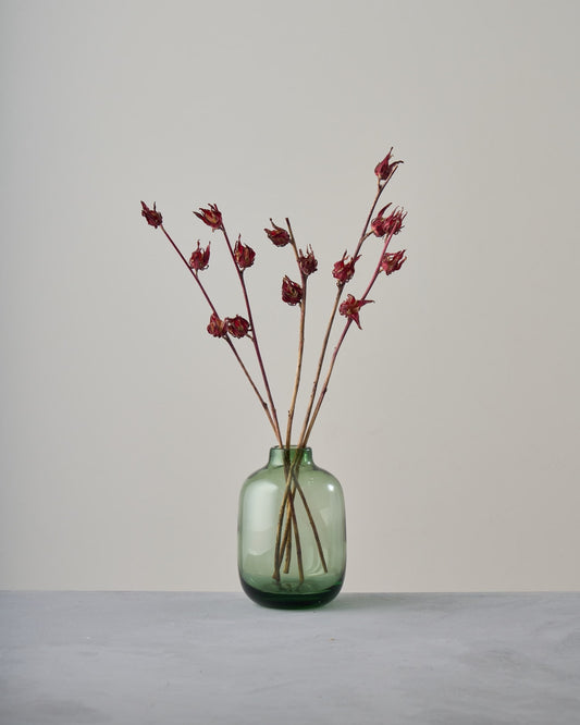 ［ドライフラワー］ベニアオイ