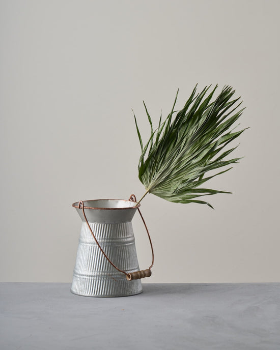 ［ドライフラワー］リビスト二ア