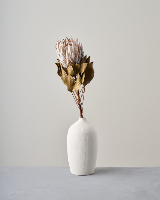 ［ドライフラワー］プロテア キング