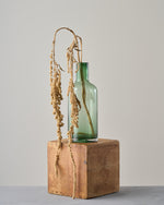 ［ドライフラワー］アマランサス グリーン