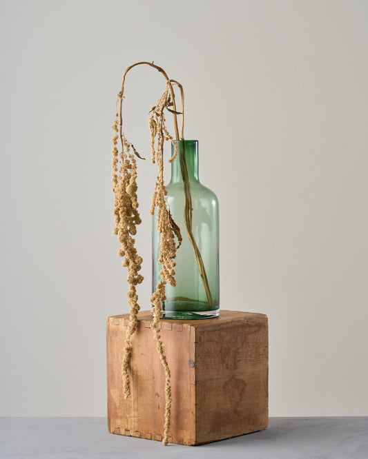 ［ドライフラワー］アマランサス グリーン