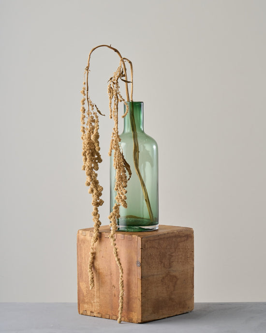 ［ドライフラワー］アマランサス グリーン