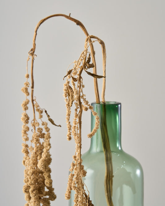 ［ドライフラワー］アマランサス グリーン