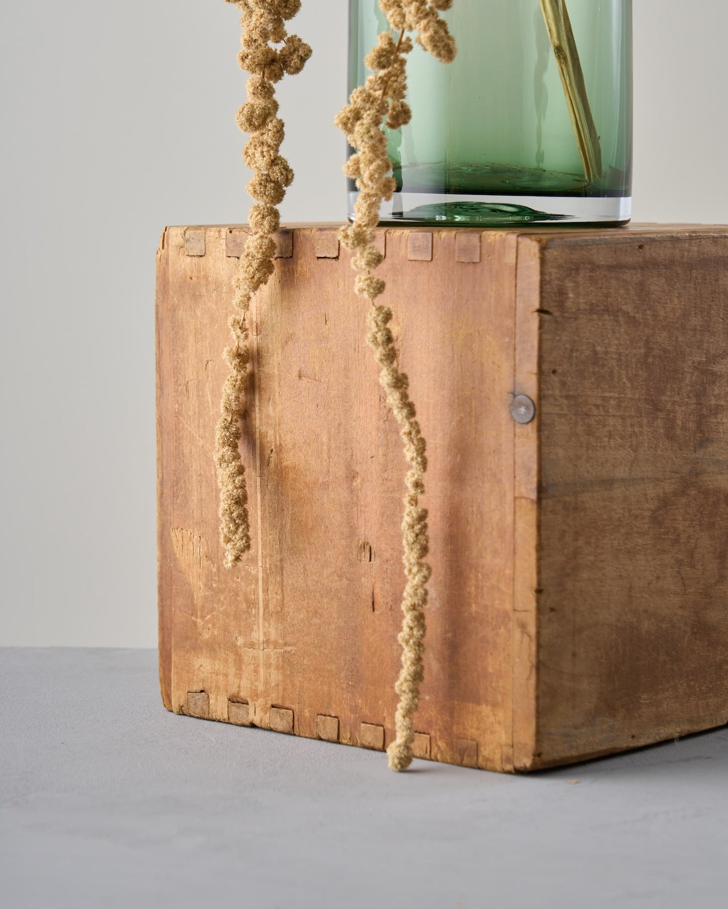 ［ドライフラワー］アマランサス グリーン