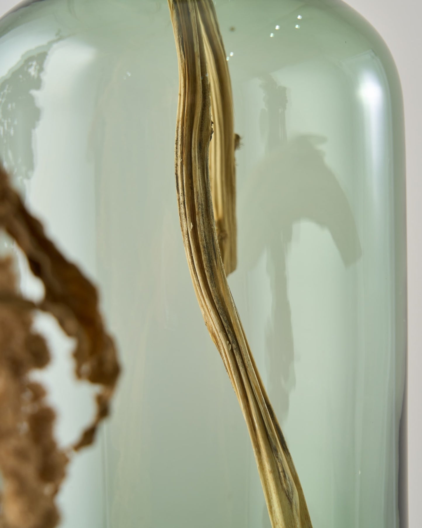 ［ドライフラワー］アマランサス グリーン