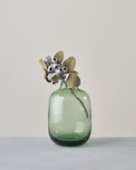 ［ドライフラワー］ユーカリ テトラゴナ