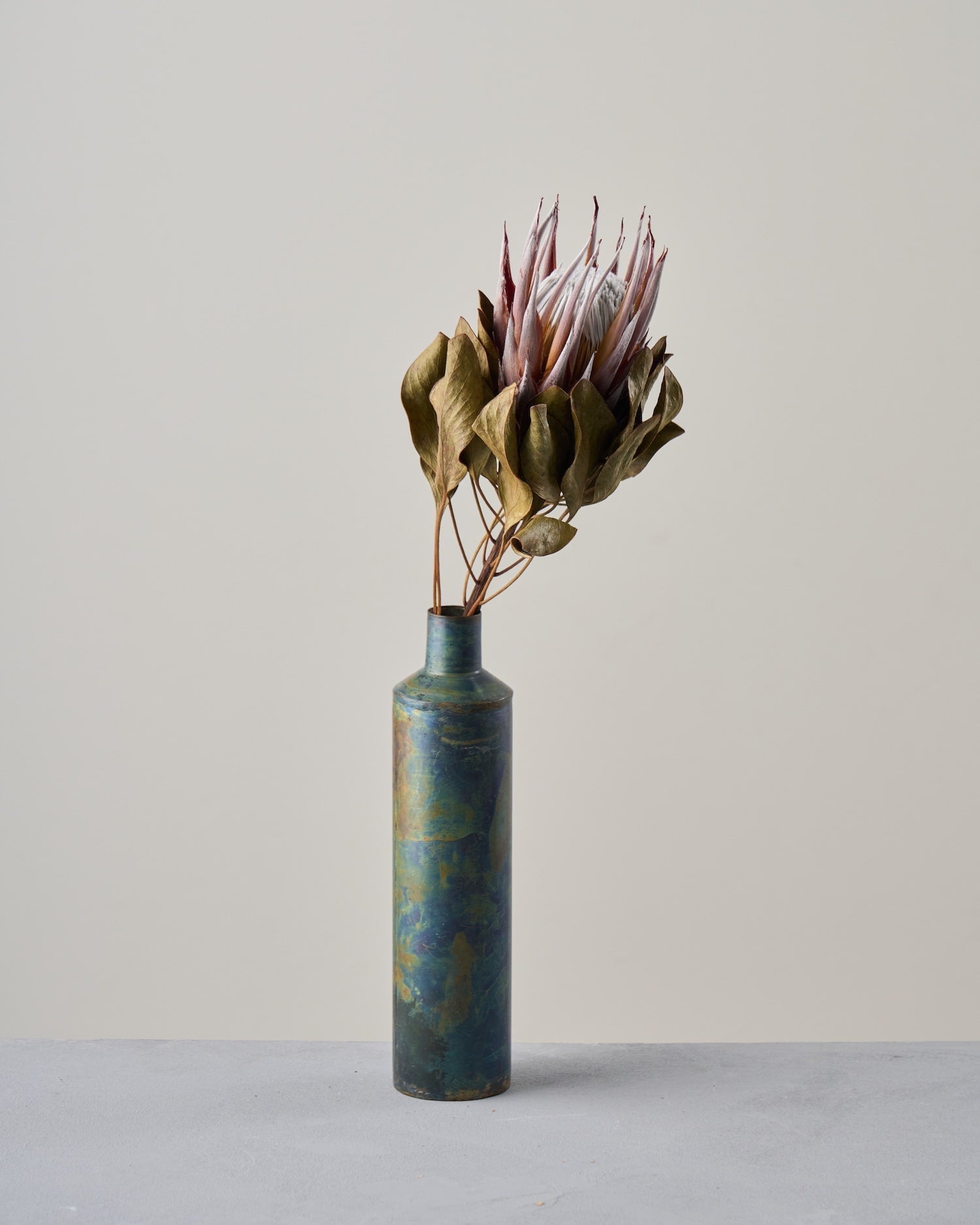 専用＊ Jumbo bottleドライフラワーボトル　D.Nプロテア ドライフラワー］プロテア マディバ商品ページ - 土と風の植物園