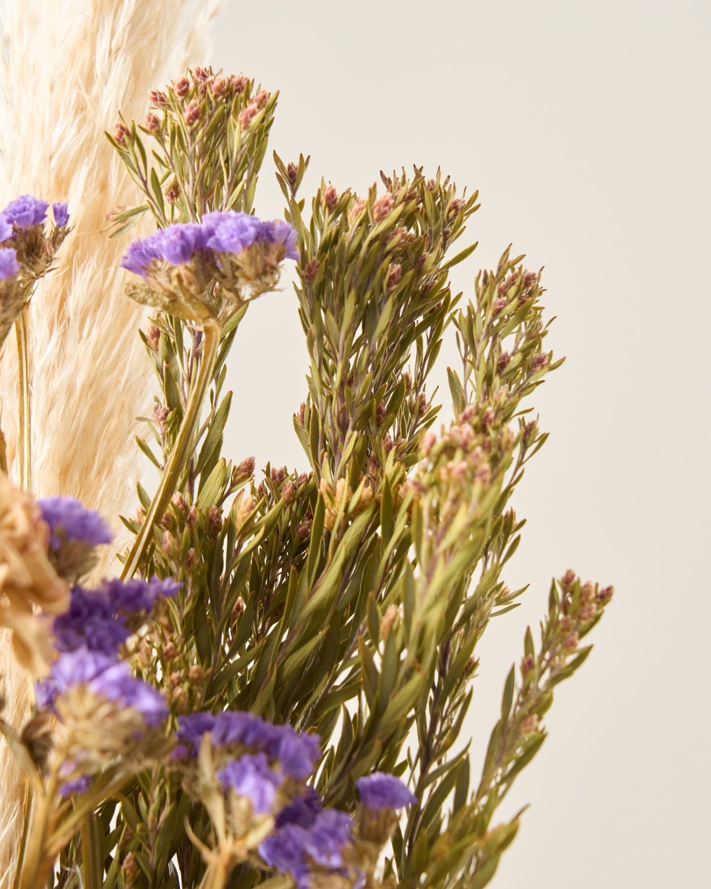 ハロウィンを彩るドライフラワーセット