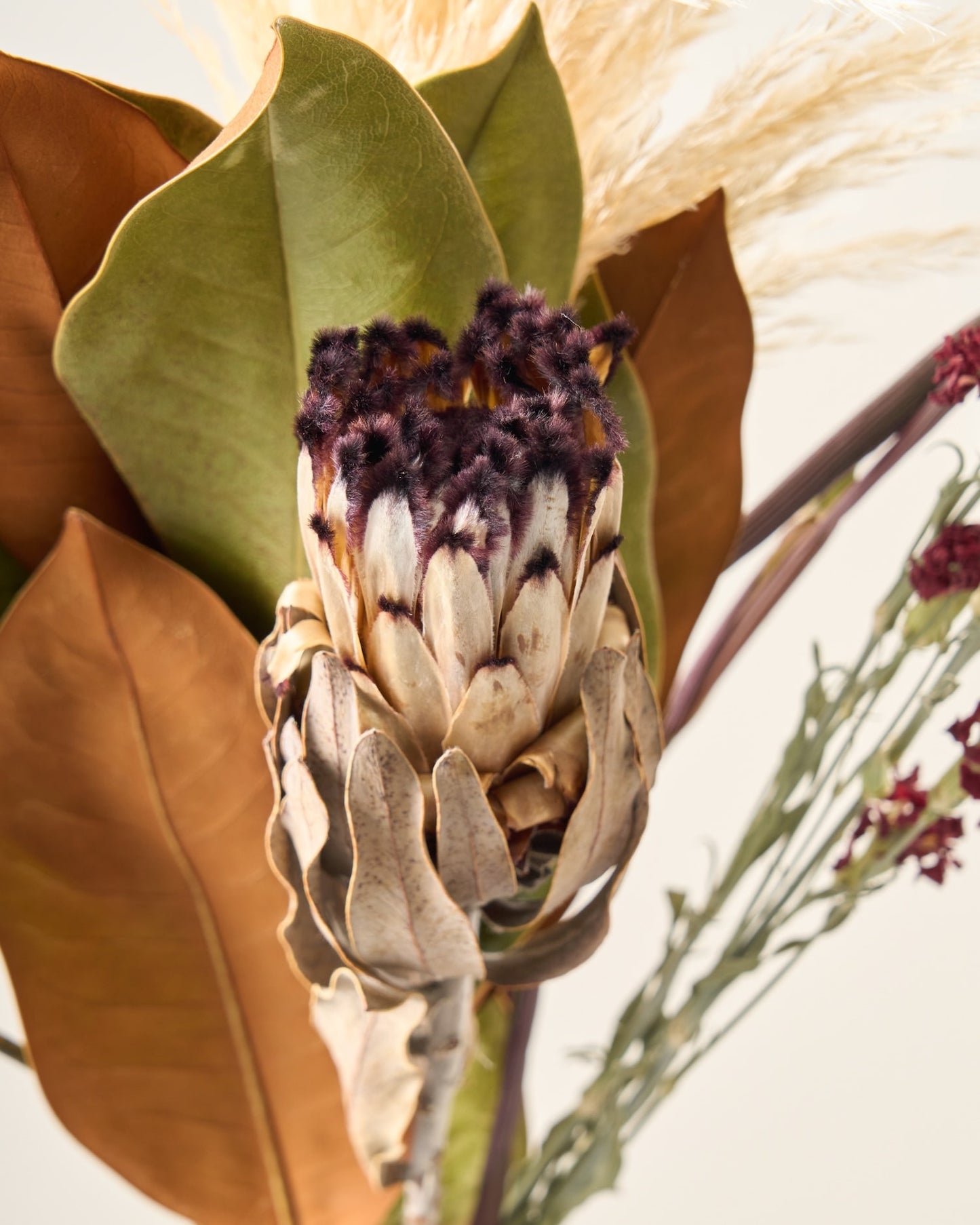 ハロウィンを彩るドライフラワーセット