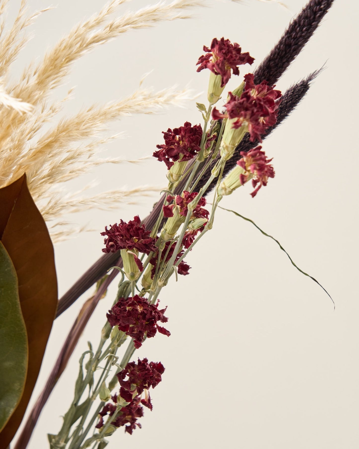 ハロウィンを彩るドライフラワーセット