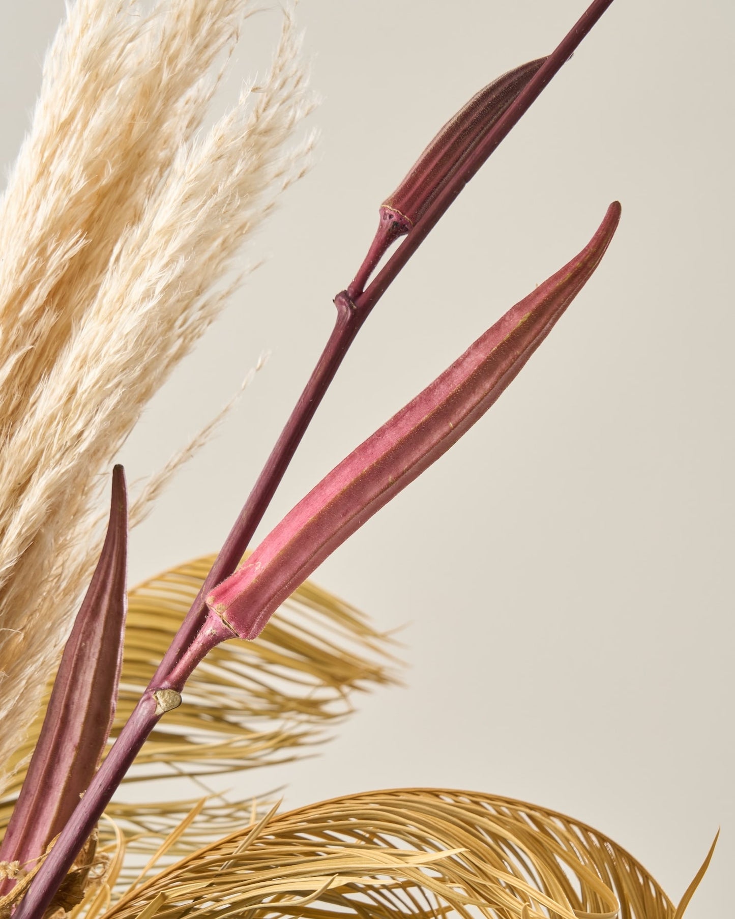 ハロウィンを彩るドライフラワーセット