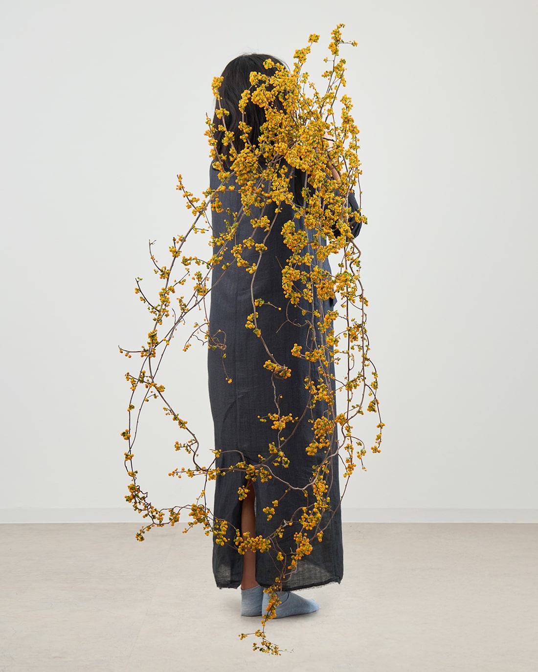 ［ドライフラワー］ツルウメモドキ