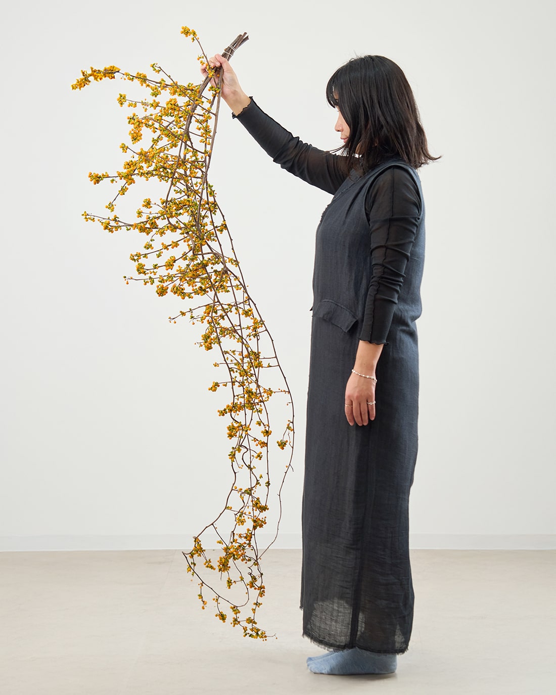 ［BIGボタニカル｜ドライ］ツルウメモドキ 120-140cm