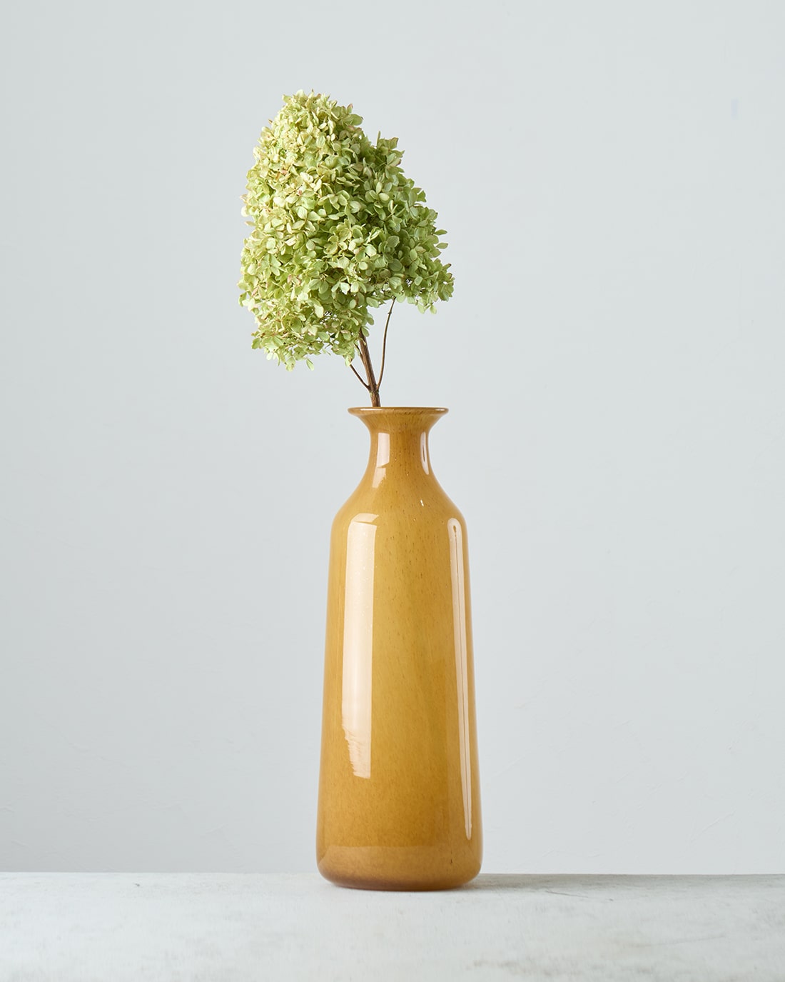 ［ドライフラワー］紫陽花 ノリウツギ ライムライト