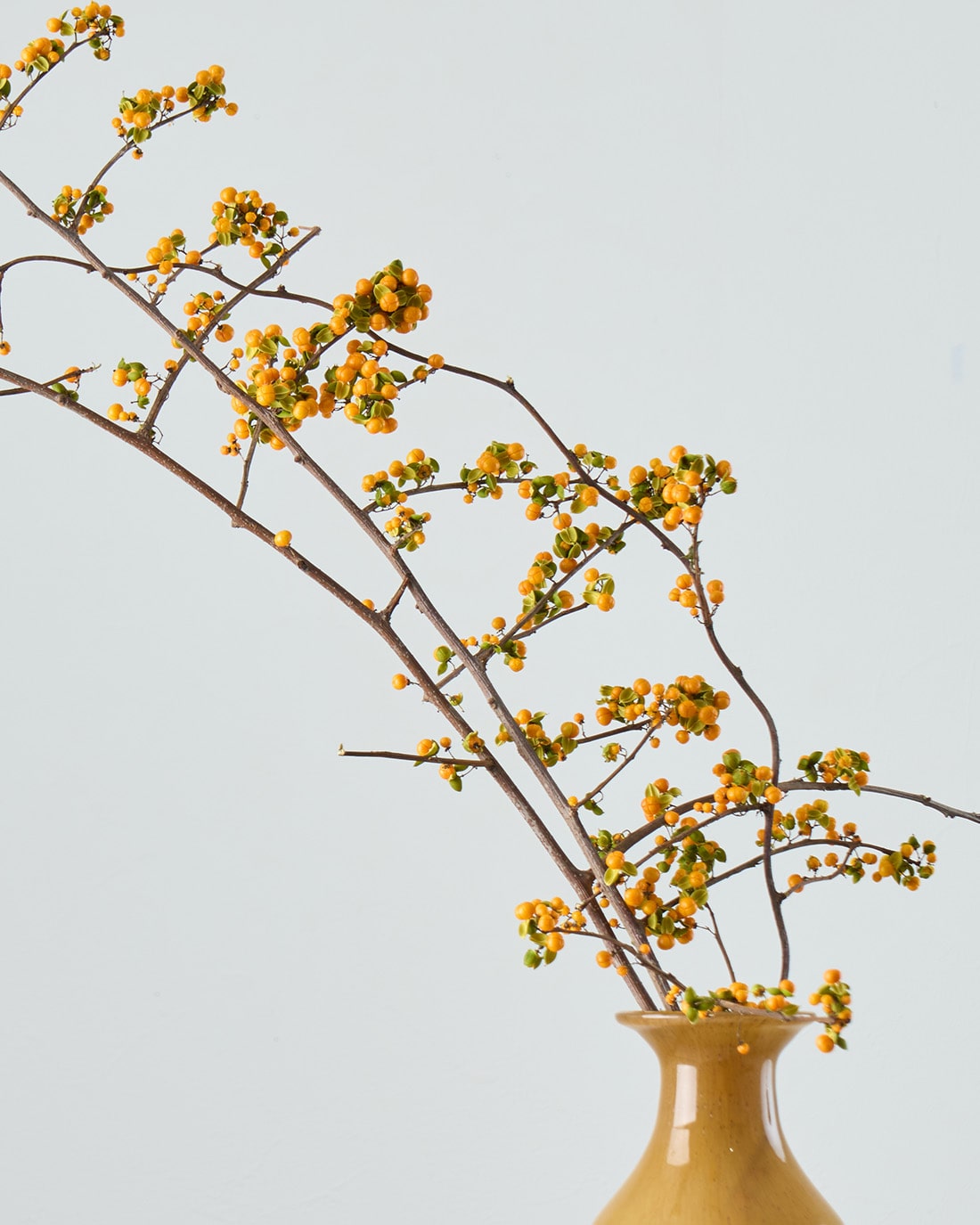 ［ドライフラワー］ツルウメモドキ