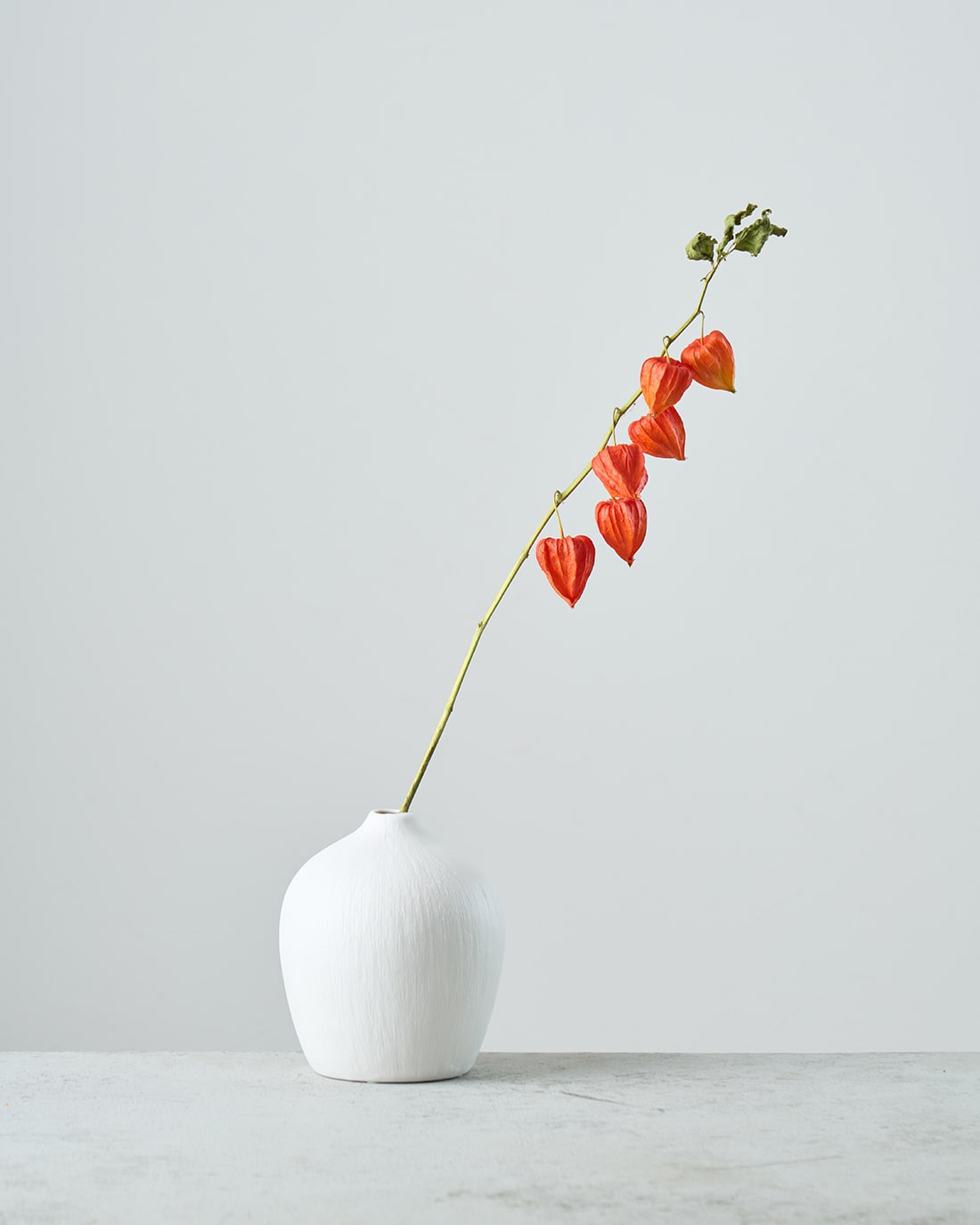 ［フラワーベース］マットな質感のポーセリンベース プランパー S