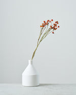 ［ドライフラワー］ばらの実 センセーショナルファンタジー