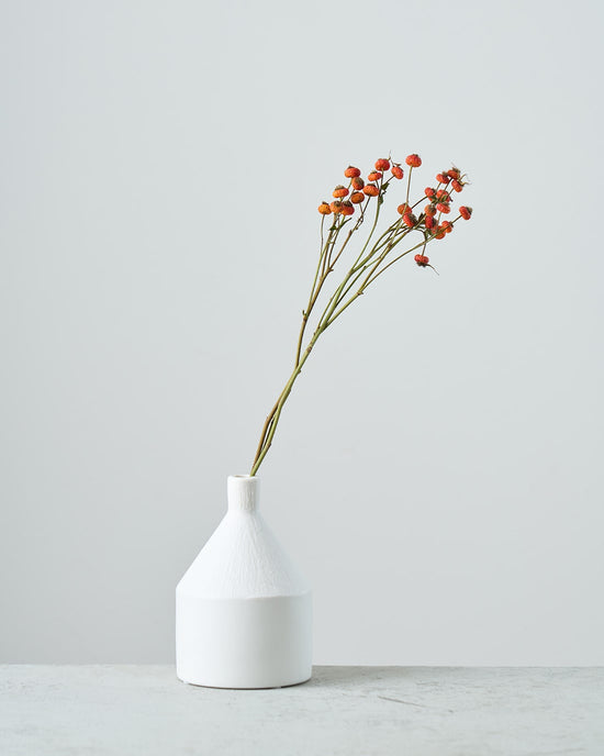 ［ドライフラワー］ばらの実 センセーショナルファンタジー