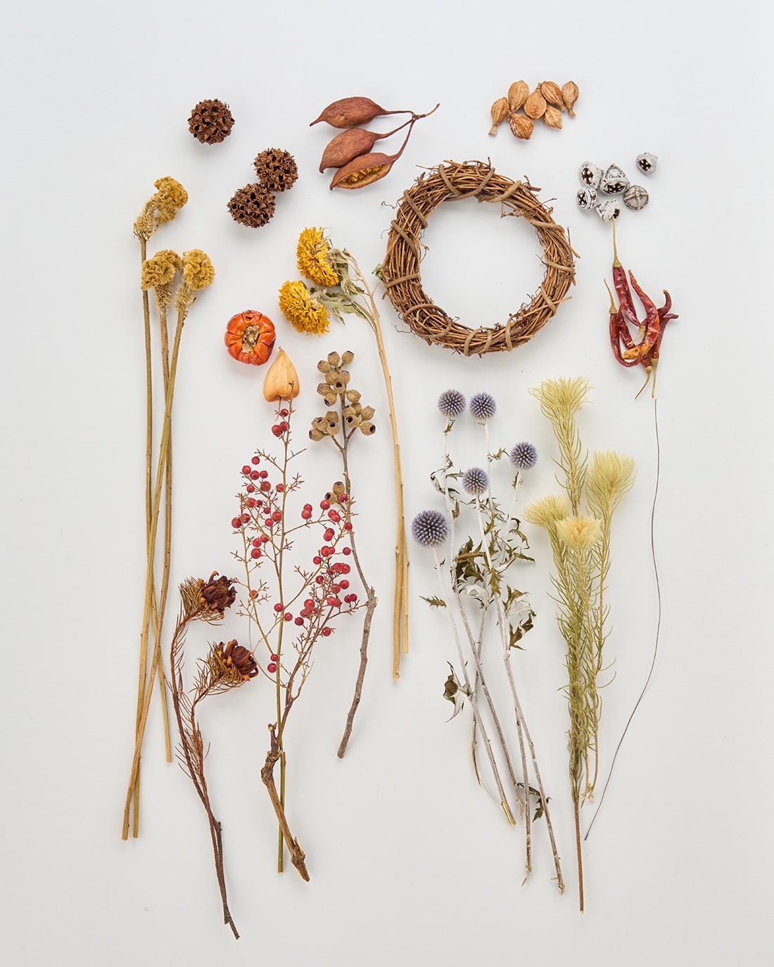 夜空のパレード＞ハロウィンのリース 商品ページ - 土と風の植物園