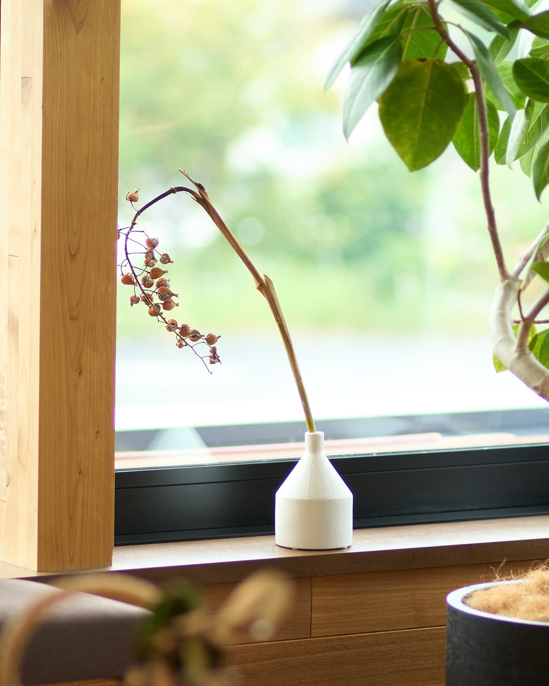 ［ドライフラワー］月桃の実