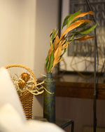 ［ドライフラワー］グレビレアゴールド