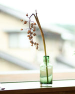 ［ドライフラワー］月桃の実