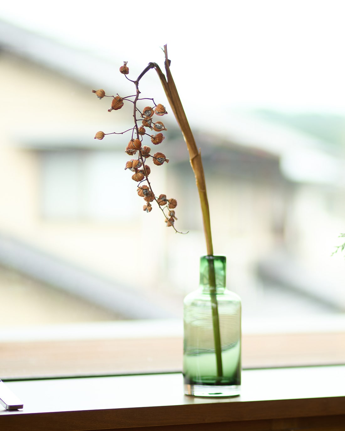 ［ドライフラワー］月桃の実