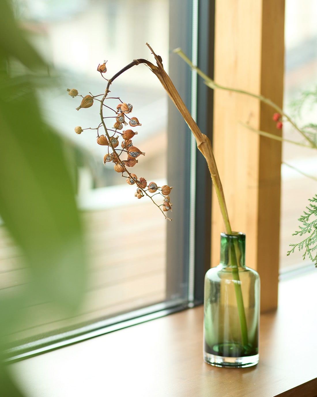 ［ドライフラワー］月桃の実