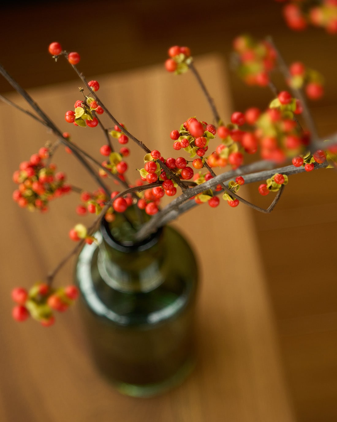 ［ドライフラワー］ツルウメモドキ