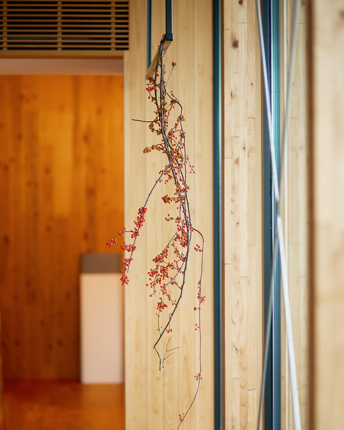 ［BIGボタニカル｜ドライ］ツルウメモドキ 120-140cm