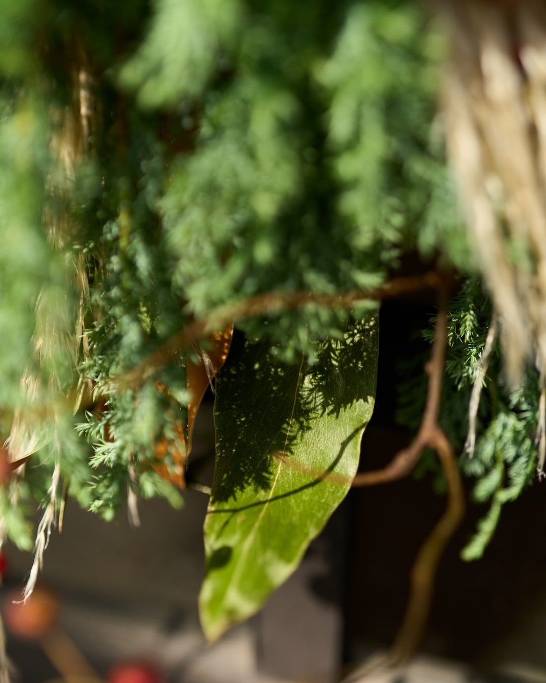 【12/10まで！】冬の陽だまりを束ねた、クリスマススワッグ