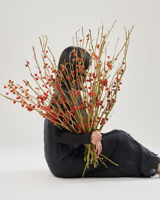 ［BIGボタニカル｜ドライ］ハナナス ピンポン 80-90cm