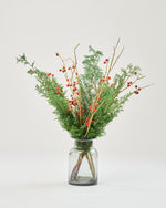 クリスマスを彩る、サツマ杉とハナナスピンポンのセット