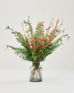 クリスマスを彩る、サツマ杉とハナナスピンポンのセット